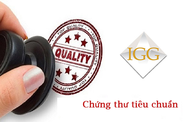 Bộ chứng thư tiêu chuẩn của IGG